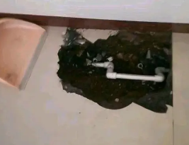 洋县卫生间测漏水多少钱